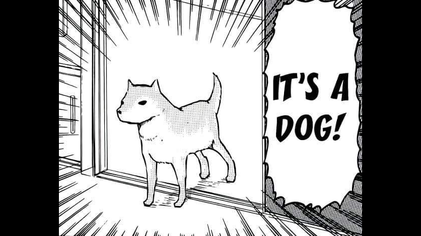 Doggo's Haus