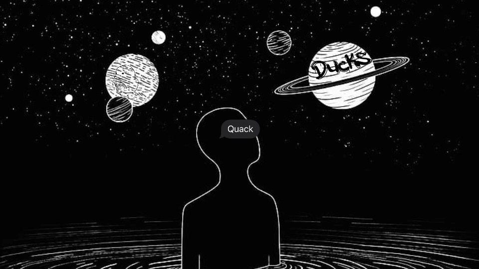 Ducks