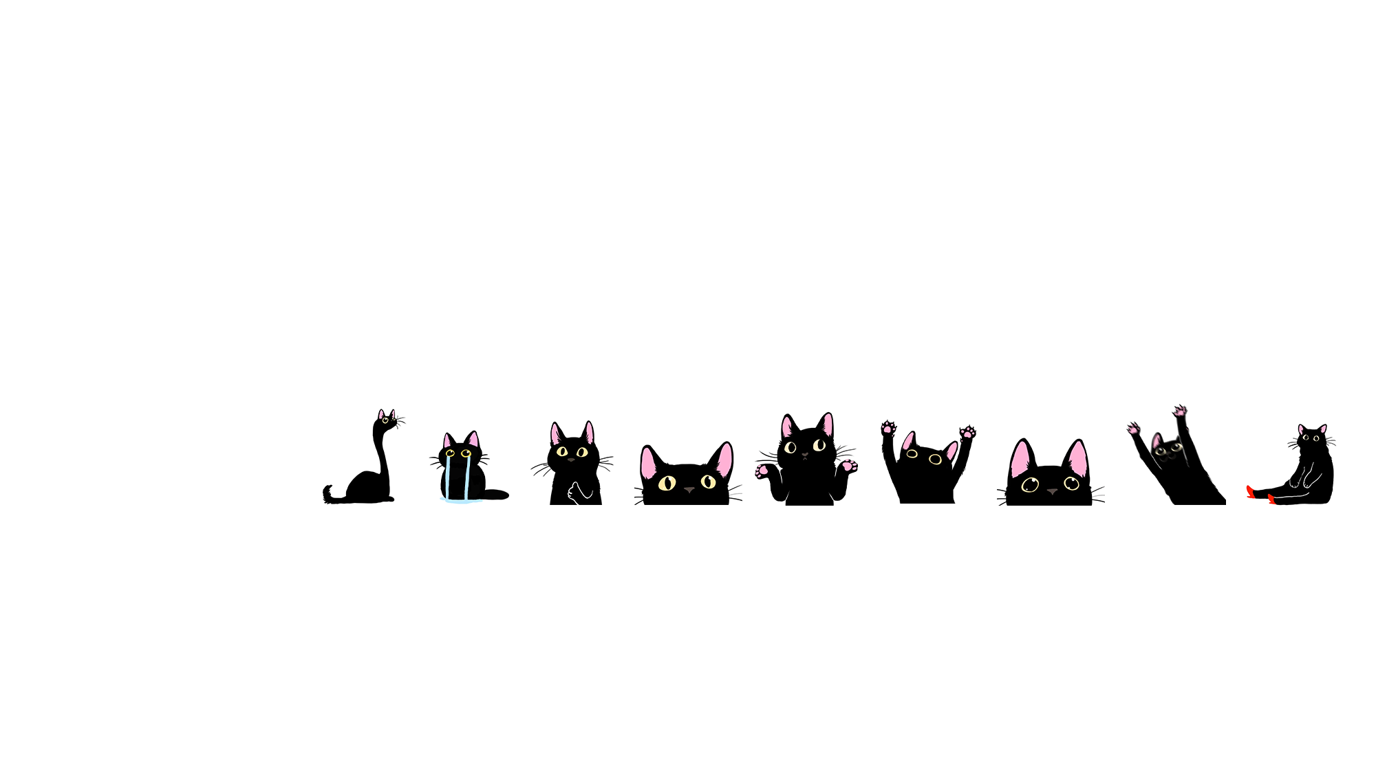 Hei miao miao miao