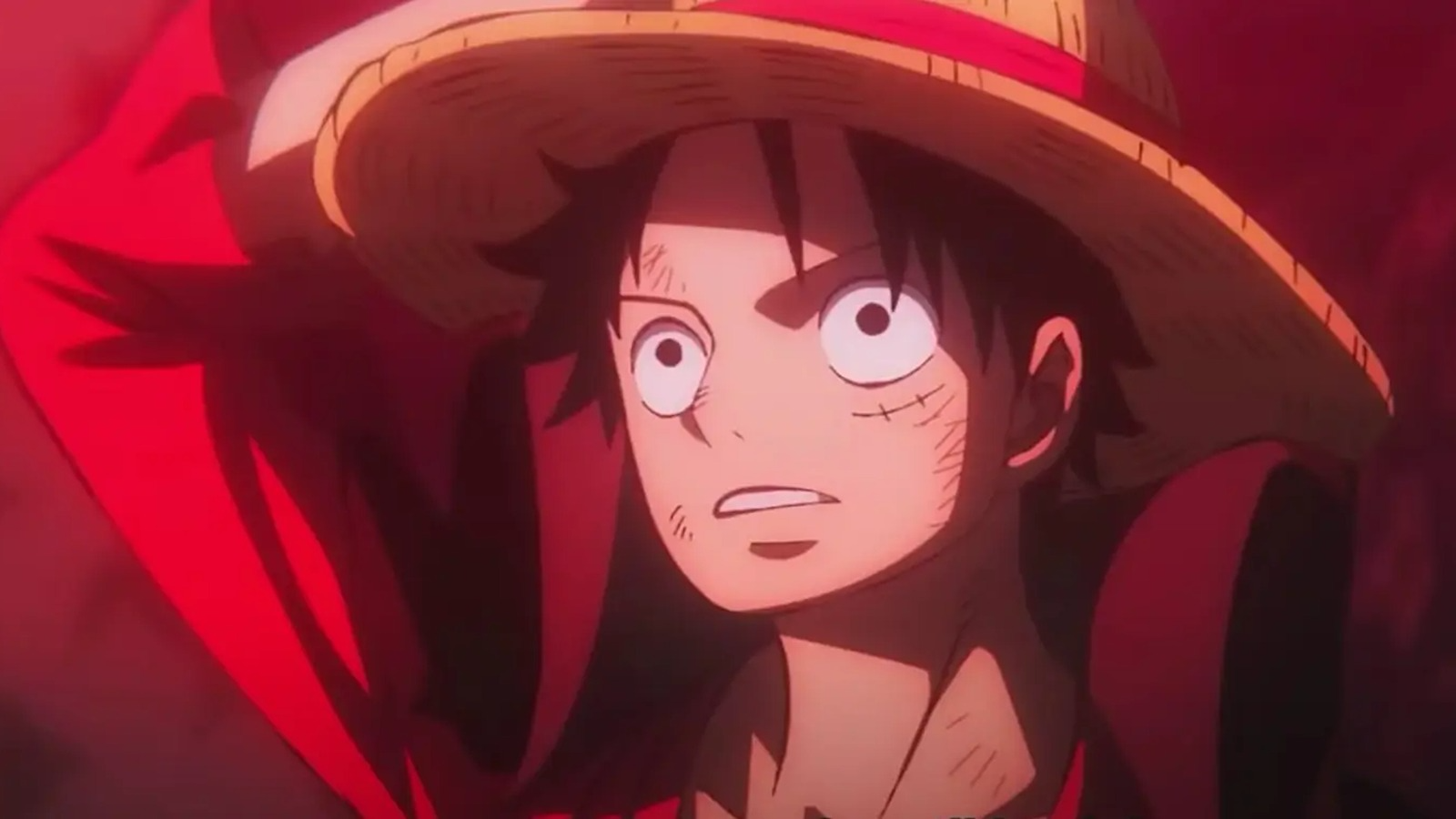 luffy on top banner