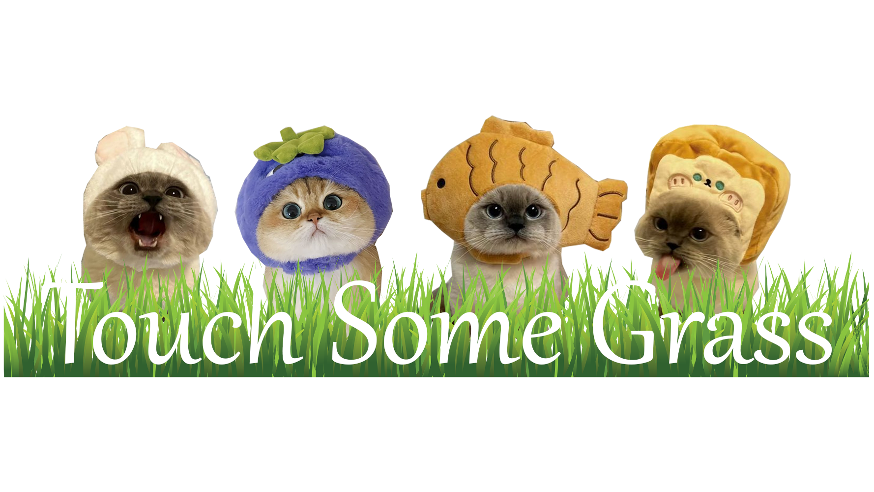 Touch Some Grass
