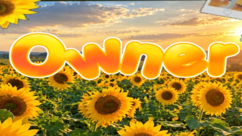THE SUNFLOWER FIELD OWNER banner