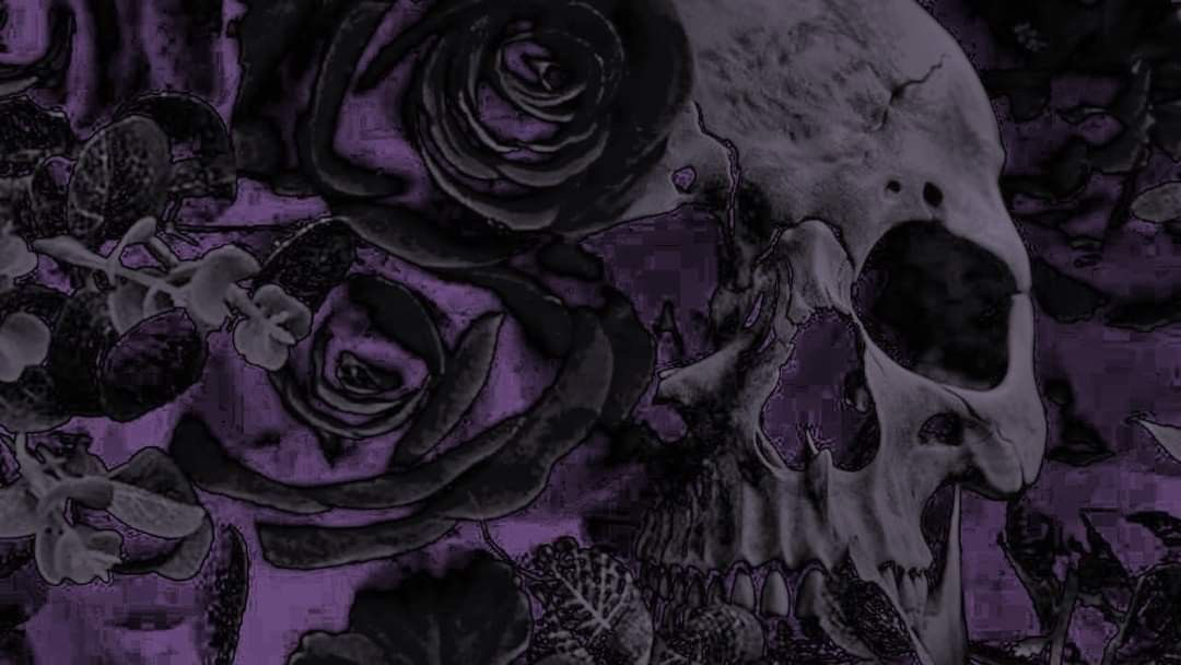 Flower Night Club banner
