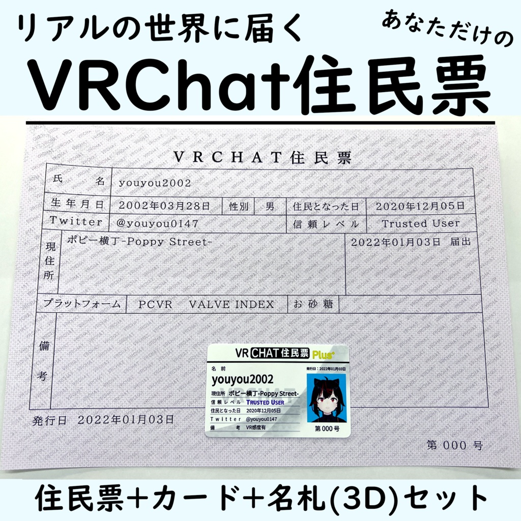 リアルVRChat住民票セット