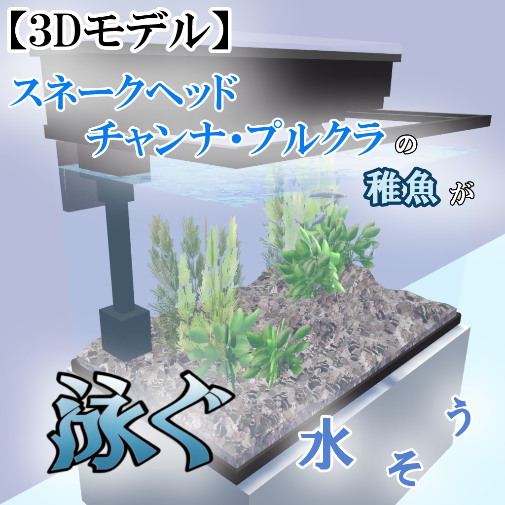 アクアリウム_(チャンナ・プルクラの稚魚)