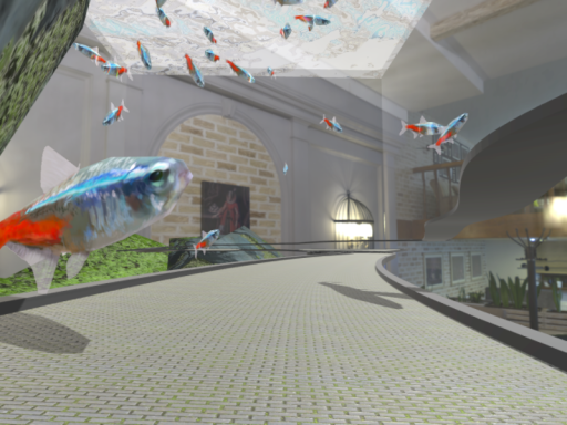 Aquarium Biking