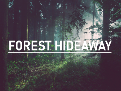 Forest Hideaway