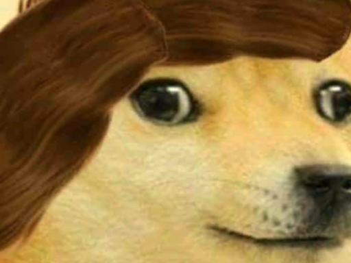 Suprise 2