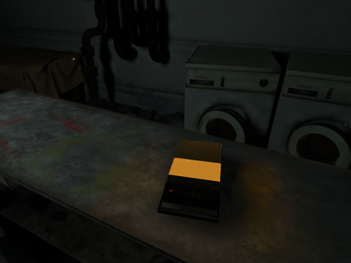 RE7 House