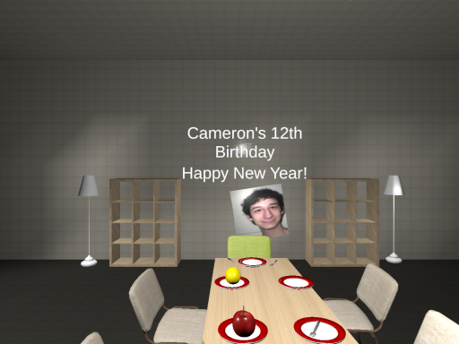 cameron's 12th birthday