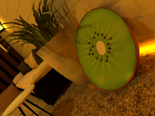 Noxie's Room