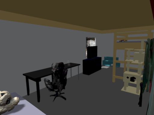 Tians house