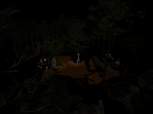 Forest Photo