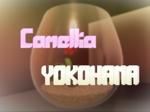 カメリア横濱 -Camellia YOKOHAMA- ~Japan studio apartment~