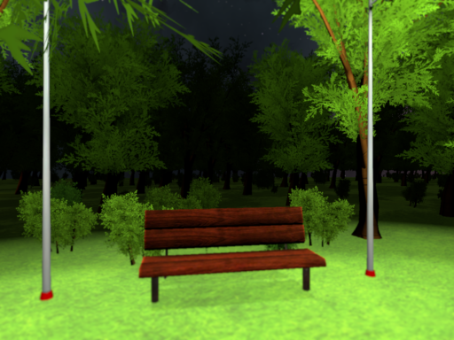 NIGHT FOREST