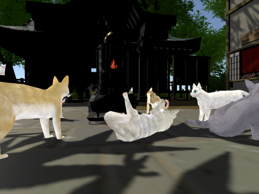 猫のいる神社 Neko shrine