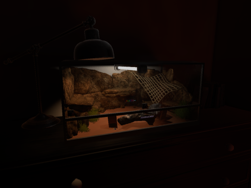 Terrarium