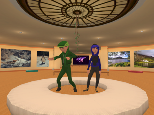 3D Photo and Video Gallery by Klaus and Mel