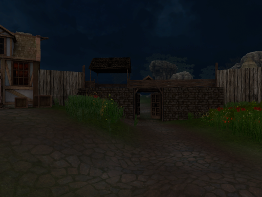 Trent Castle Night