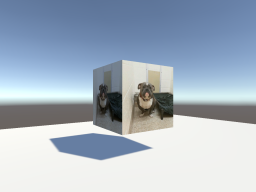 the cube