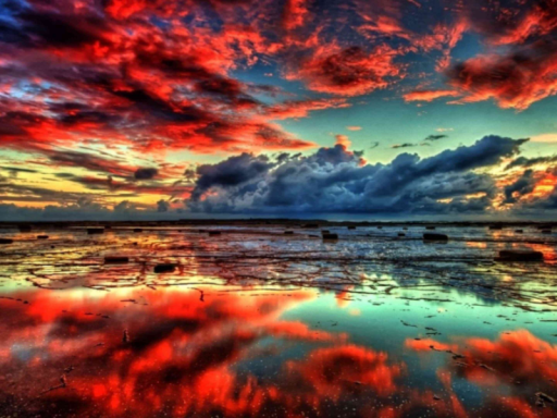 Twillight Cove
