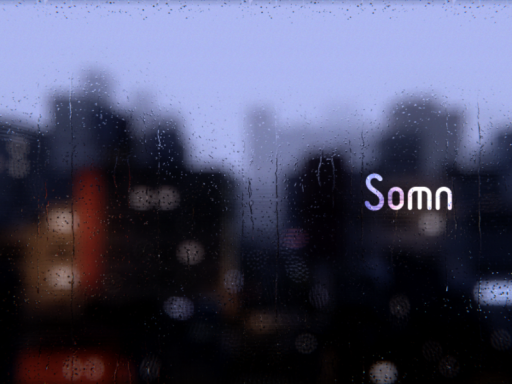 Somn
