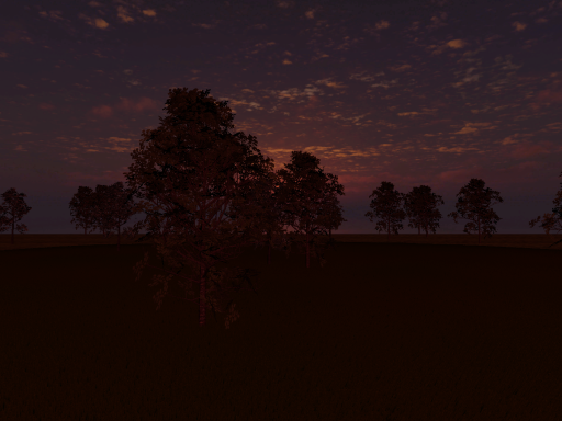 Meadow At Dusk