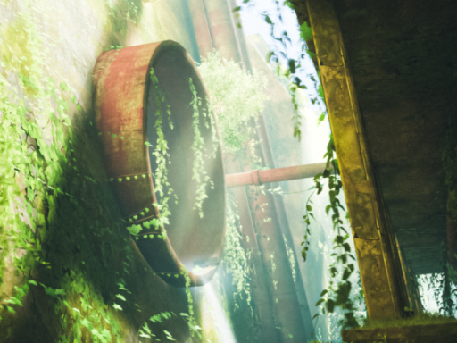 The cat's path