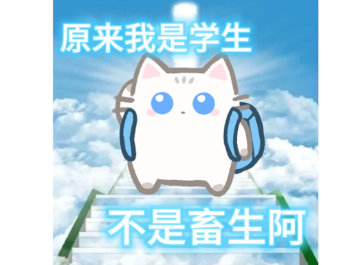 纸箱盒