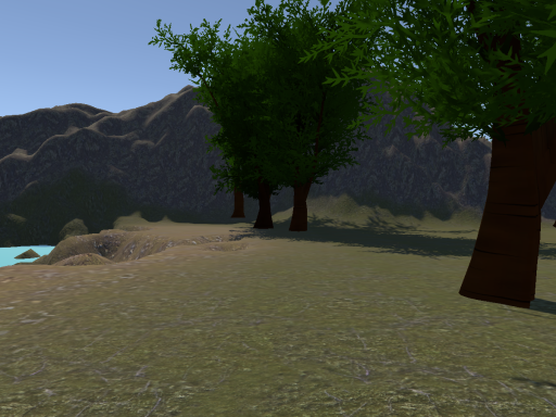 hidden forrest