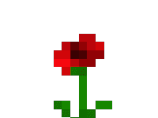 Black Rose Home