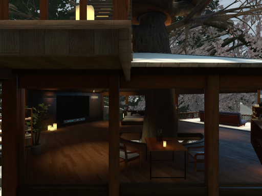 雪桜 yukizakura