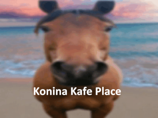 Konina meme cafe