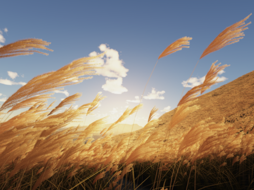 穂波 - Susuki field