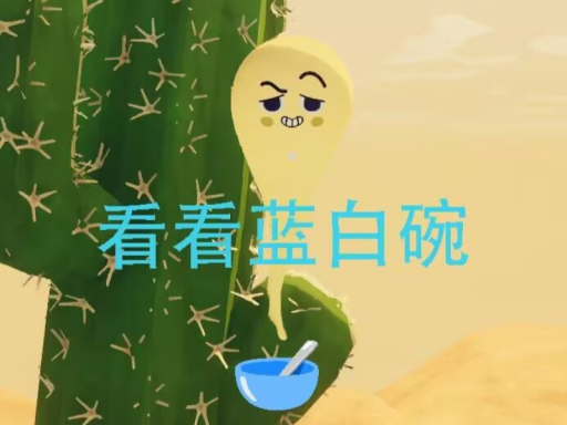 看看蓝白碗第二季