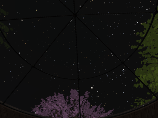 A Starry Night