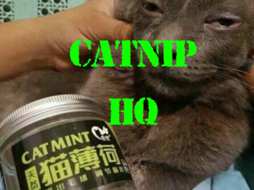 Catnip HQ