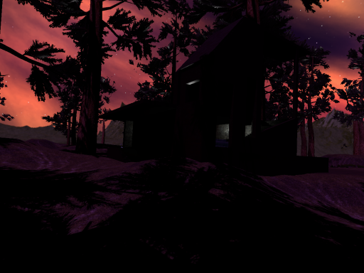 evening forest