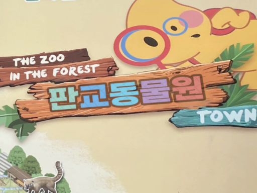 판교 ZOO office