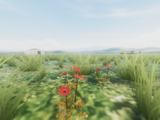 Hortus Regis Alti