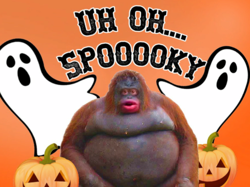 Uh Oh Spooky․․․