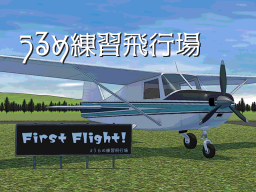 うるめ練習飛行場-Urume Training airfield-