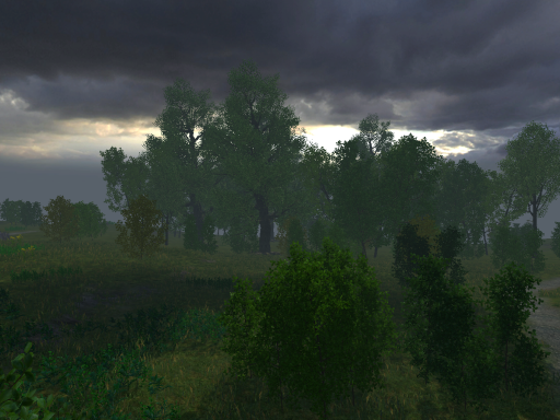 SwampForest