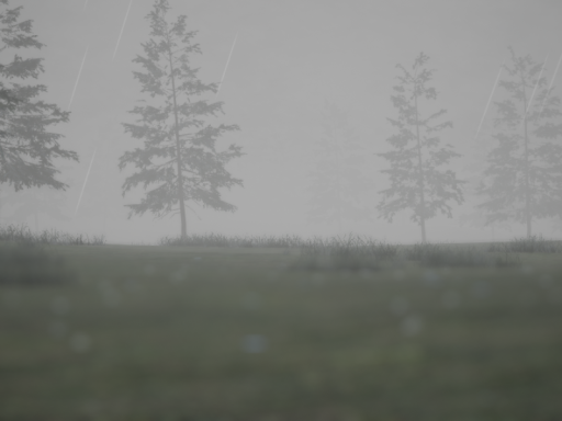 Rainy forest