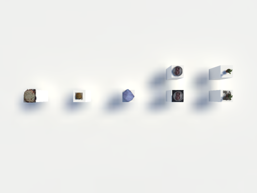 Object Collection