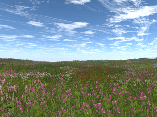Flower Meadow