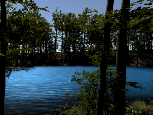 forest