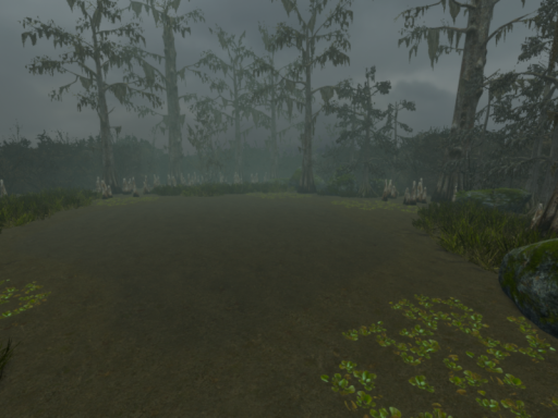 Muddy Swamp