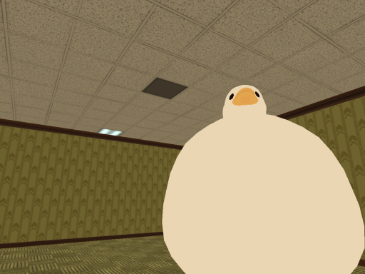 The Quackroom