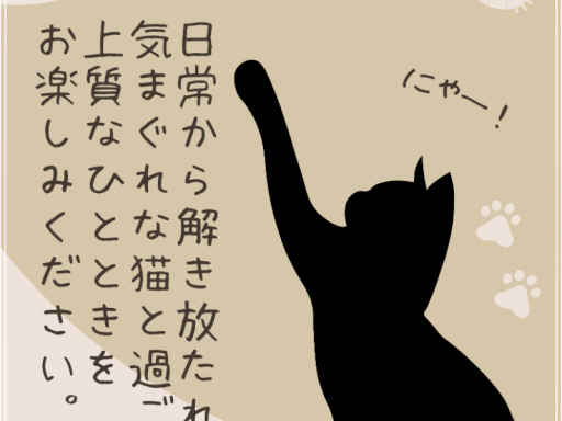 ドキドキ猫カフェ MELLOW NIGHT